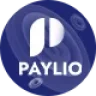 Paylio - Money Transfer and Online Payments React Next JS Template