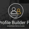 Builder Pro Профайл